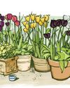 Gardens Illustrated
