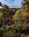 Gardens Illustrated