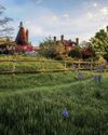 Gardens Illustrated