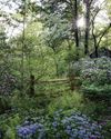 Gardens Illustrated