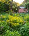 Gardens Illustrated