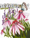 Should garden shows aim higher?17