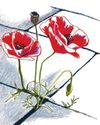 Gardens Illustrated