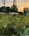 Gardens Illustrated