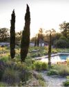 Gardens Illustrated