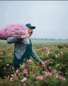 Here's what cosmetic ingredients you should really be using if you want to protect the planet Here's what cosmetic ingredients you should really be using if you want to protect the planet