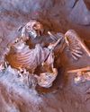 7,000-year-old mummy DNA reveals a 'ghost' branch of humanity 7,000-year-old mummy DNA reveals a 'ghost' branch of humanity