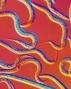 COULD SCIENTISTS UPLOAD AN ANIMAL BRAIN TO A COMPUTER?27