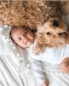 Does having a 'dog baby' make us happier than having a human baby?11