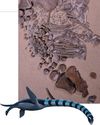 Decades-old sea monster mystery solved10