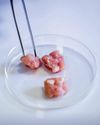 BBC Science Focus