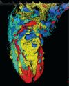 How a tiny worm's brain could transform artificial intelligence How a tiny worm's brain could transform artificial intelligence3