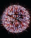 2025's BIGGEST MOMENTS IN SCIENCE 2025's BIGGEST MOMENTS IN SCIENCE11