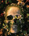 A BETTER WAY TO GO: HOW TO HAVE A GREENER DEATH12