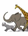 Salt could be key to saving Africa's largest land mammals6