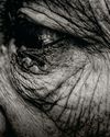 MICROBIOMES OF THE SUPERAGERS MICROBIOMES OF THE SUPERAGERS21