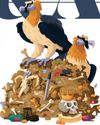 DO ANY ANIMALS HOARD TREASURE? DO ANY ANIMALS HOARD TREASURE?22