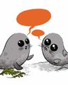 NATURE: Seal pups chat just like humans - accents included NATURE: Seal pups chat just like humans - accents included7