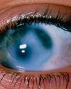 BBC Science Focus