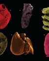 BBC Science Focus
