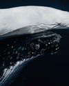 BBC Science Focus