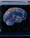 BBC Science Focus