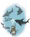 There's no such thing as a shark, suggest scientists There's no such thing as a shark, suggest scientists9