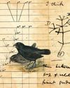 Charles Darwin receives a shock in the mail Charles Darwin receives a shock in the mail