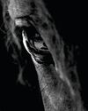 WARHORSE9