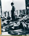 BBC History UK