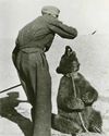 Did a bear once serve in the Polish army? Did a bear once serve in the Polish army?20