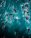 220 Triathlon
