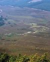 SCOTTISH ECOLOGICAL RECOVERY ON CAMERA