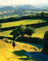 Responsible dog ownership is crucial for a healthy, harmonious countryside Responsible dog ownership is crucial for a healthy, harmonious countryside