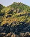 Wild fishing on remote beaches BBC Countryfile Magazine
