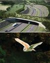 UK'S BIGGEST WILDLIFE ROAD BRIDGE SET FOR GLOUCESTERSHIRE BBC Countryfile Magazine