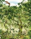 Big business has a critical role to play in saving our woodlands9
