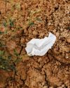 PLASTIC WET WIPES BANNED IN WALES1