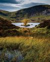 BBC Countryfile Magazine