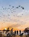 BBC Countryfile Magazine