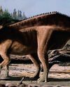 NEWLY IDENTIFIED DINOSAUR SPECIES SPORTED A “STRIKING SAIL” BBC Countryfile Magazine
