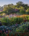 Grow your own cut-flower garden Grow your own cut-flower garden12