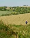Wiltshire Wiltshire7