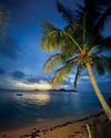 HONEYMOONING in PARADISE HONEYMOONING in PARADISE