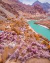 Travel+Leisure India