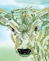 SEEDS OF DOUBT The New Yorker