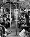 The New Yorker