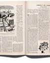 The New Yorker