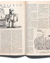 The New Yorker