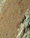 NASA finds new evidence for life on Mars0